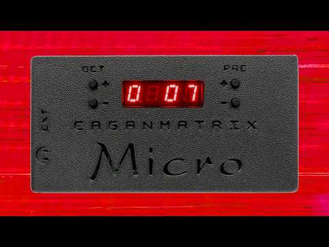 EaganMatrix Micro Synth Module