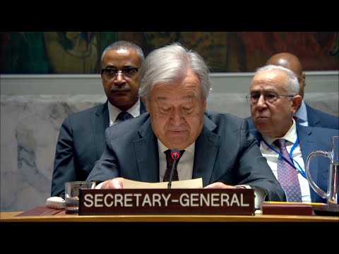 Video Thumbnail: UN chief says Sudan is enduring 'nightmare' of hunger, violence, illness | AFP