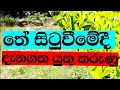Tea Cultivation In Sri Lanka Part 51 තේ සිටවීමට පෙර දැනගතයුත