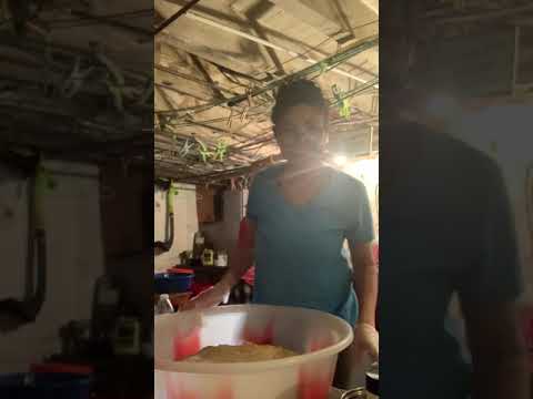 Preparing pasteles masa🇵🇷💯