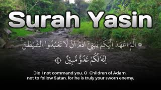 Download lagu Spiritual Healing Quran | Surah Yasin Murottal Syahdu mp3 Download lagu Spiritual Healing Quran | Surah Yasin Murottal Syahdu mp3
