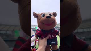 夫婦で鹿島アントラーズの試合観戦 #サッカー  #jリーグ  #鹿島アントラーズ　#東京ヴェルディ