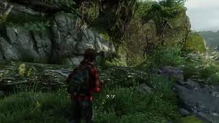 THE LAST OF US