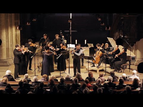 C.P.E. Bach: Flute Concerto in A minor, III. Allegro assai, Wq.166, H.431 – Bremer Barockorchester
