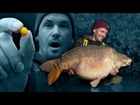 Micro baits, MAXI fish? (Pierre Meyer)