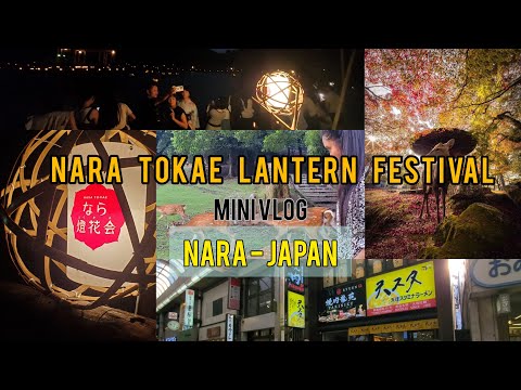 Nara Tokae Lantern Festival | Nara Vlog | Japan Vlog | Pama's Diary #japan #narajapan #travel