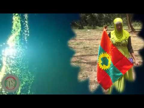 Faaxee Anniyyaa   Wanjoo Gabrummaa  Best Oromo music