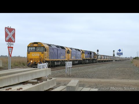 7734V Pacific National Grain Train At Buchter Road, Gheringhap (28/8/2023) - PoathTV Railways