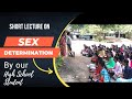 A Short Lecture On Sex Determination By A Village Girl English Speech By A Village Girl