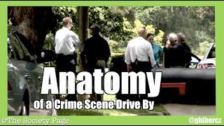 Dan Markel Murder: Anatomy of a Crime Scene Drive By - Wendi Adelson