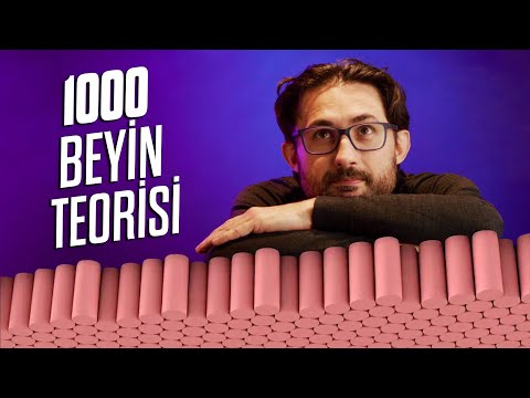 1000 Beyin Teorisi
