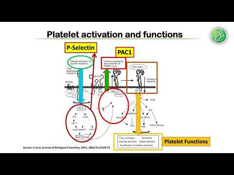 Human placental mesenchymal stem/stromal cells (pMSCs)inhibit agonist - Tanvir Khatlani