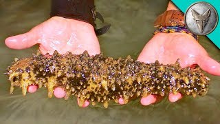 IT'S HUGE! and Covered in WARTS!