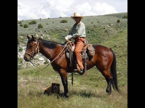 "QT" is for sale at BLS