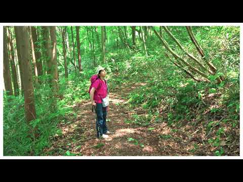 【八峰町】 留山