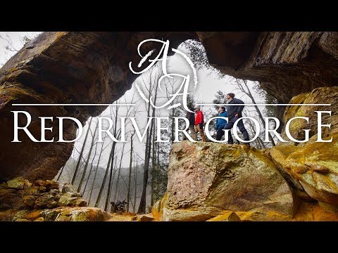 Red River Gorge 4K | Hiking, Camping, and Backpacking Kentucky's Hidden Wonders