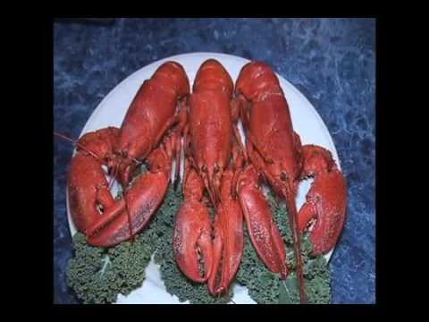EBR On the Road no Captain Jack's Seafood Buffet