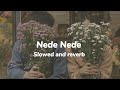 Nede Nede Slowed Reverb Slowed And Reverb Reverb By Raghav
