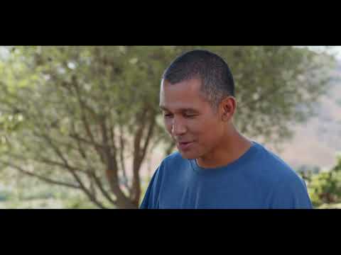 림노스 전통 플로마리아 & 전통 수제 파스타