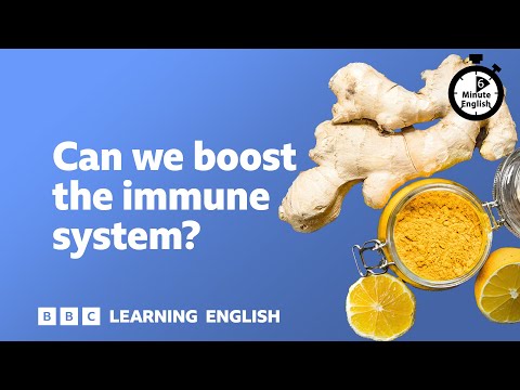 Can we boost the immune system? ⏲️ 6 Minute English
