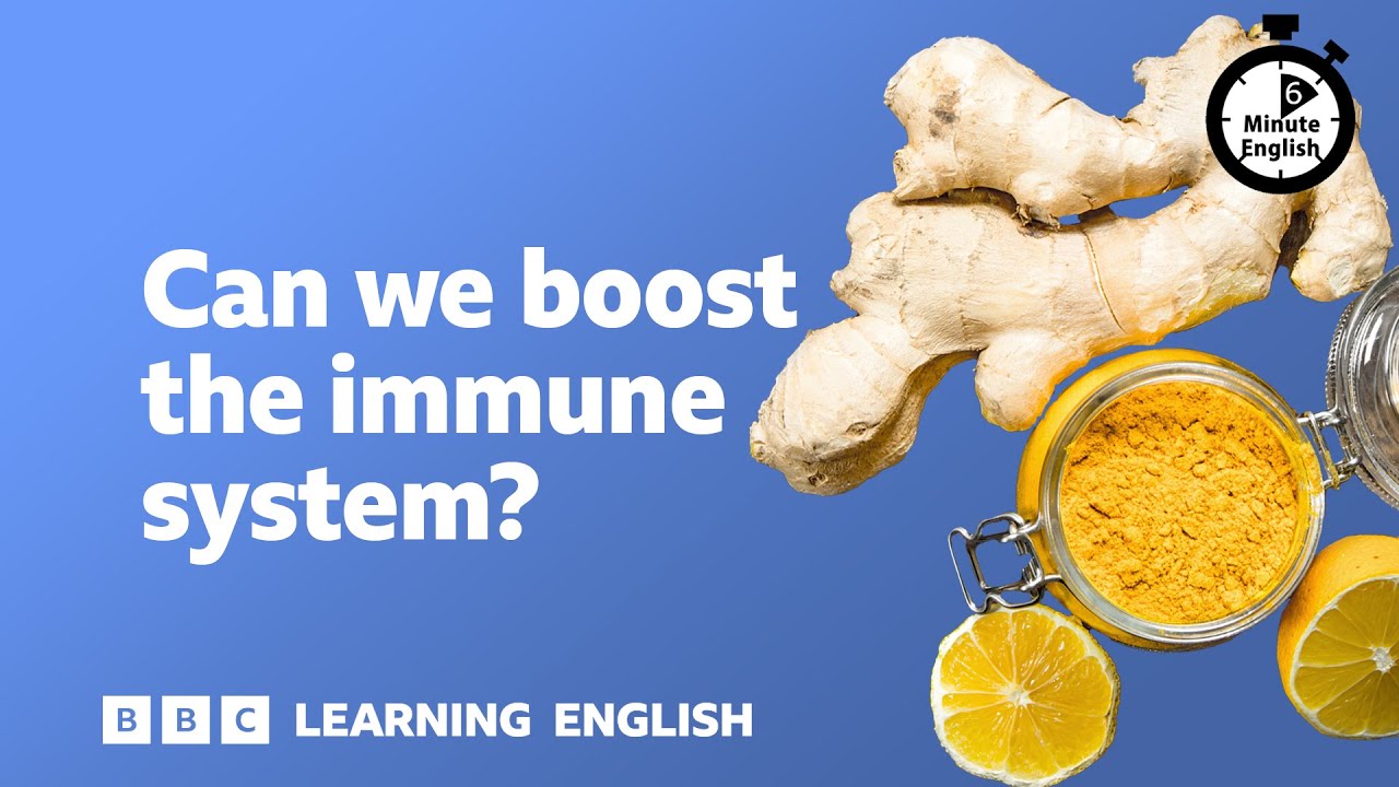 Can we boost the immune system? ⏲️ 6 Minute English