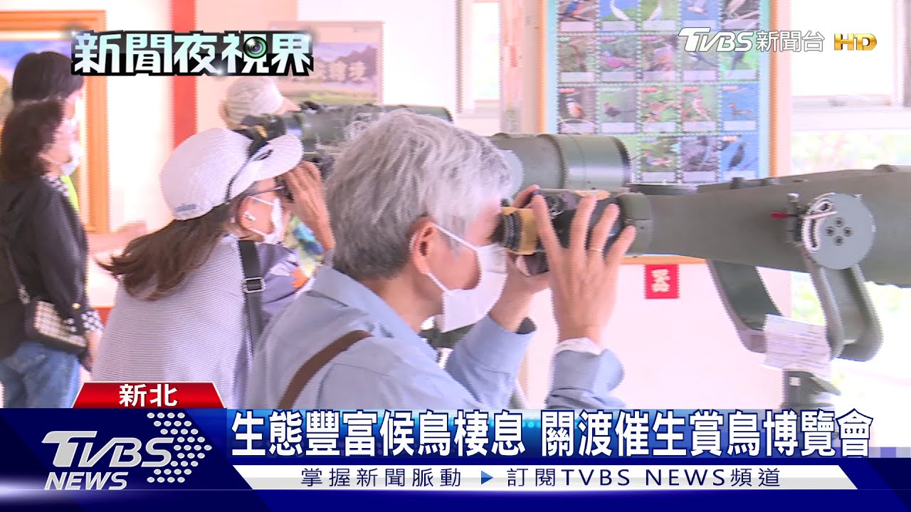 親近關渡大自然！　推賞鳥、藝術季活動