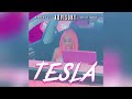 Tesla Ppcocaine