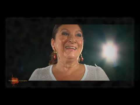 Flamencos & Cronopios. Milagros Mengíbar