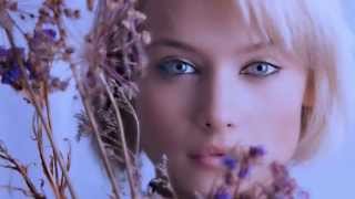 Rod Stewart  It aint the spot light