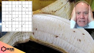 Trying to get Finished before the Plumber ...