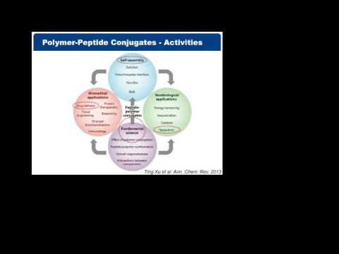 Tuning the entropic spring in polymer conjugated peptide biomaterials