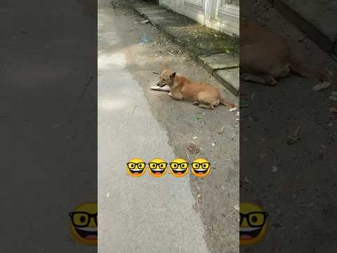 😝😝😝😝🤓🤓🤓