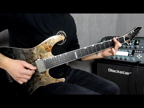 SYLOSIS - Cycle Of Suffering full guitar cover w/ solos