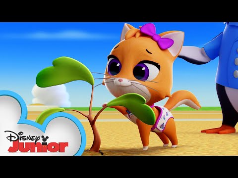 Home Tree Home | T.O.T.S. | @disneyjr