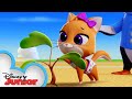 Home Tree Home | T.O.T.S. | @disneyjunior