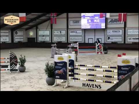 "Checkter" - CSI Peelbergen/NLD 2019