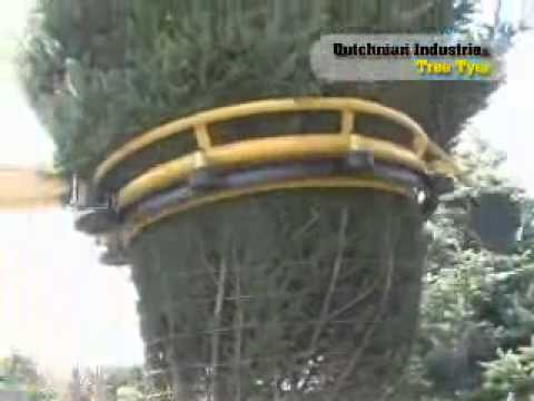 Công nghệ di chuyển cây xanh của nước ngoài mà không chặt bỏ part 1