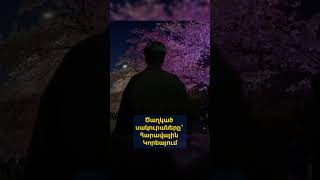 Ծաղկած սակուրաները՝ Հարավային Կորեայում
