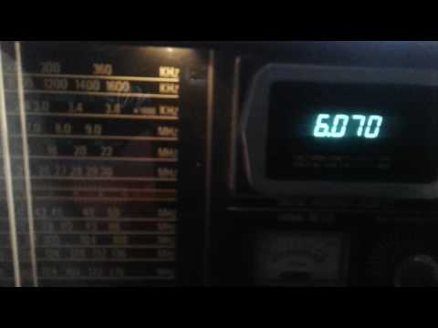 Radio DARC 6070 kHz 22.May. 2016 Test with Pan Crusader X
