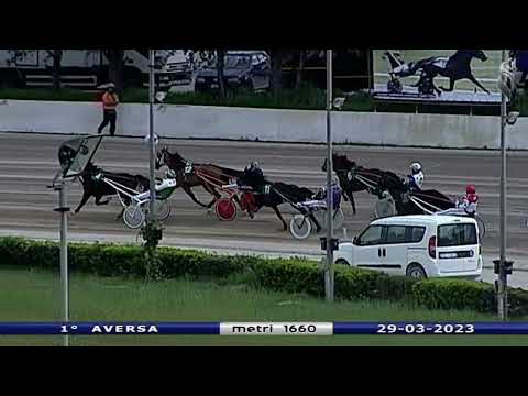 Aversa trotto 29 Marzo 2023 - 1° Corsa