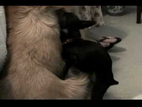 One Incredible Night