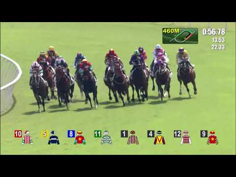 24/10/2021 (115) So Awesome - J Moreira