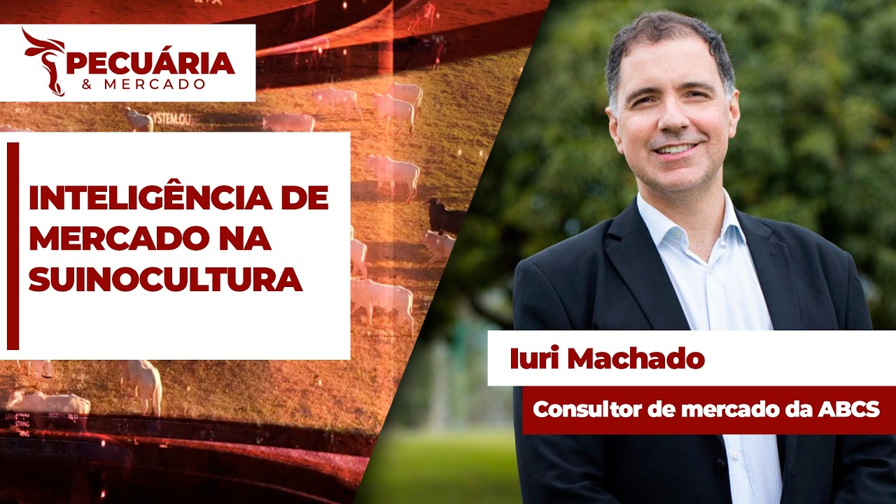 Plataforma inédita da ABCS reúne informações estratégicas para apoiar tomada de decisão do setor
