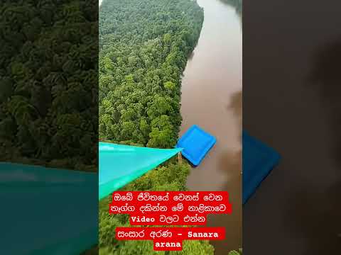වැරදුනොත් වෙනදේ දන්නවනේ.. 🥺
