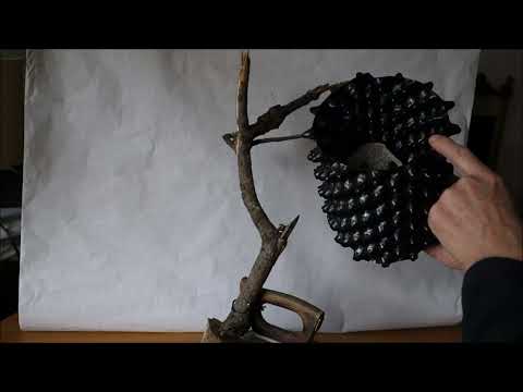 Tanuki Projekt Teil 1