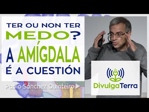Vídeo: Ter ou non ter medo? A amígdala é a cuestión