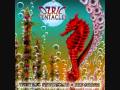 Ozric Tentacles - Sniffing Dog.wmv