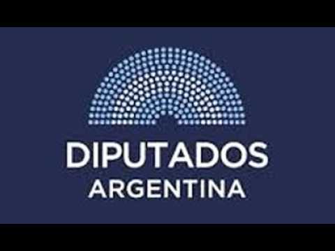 DIPUTADOS EN VIVO: DEBATEN ENDEUDAMIENTO, DISCAPACIDAD Y PROTECCIÓN A LAS FAMILIAS