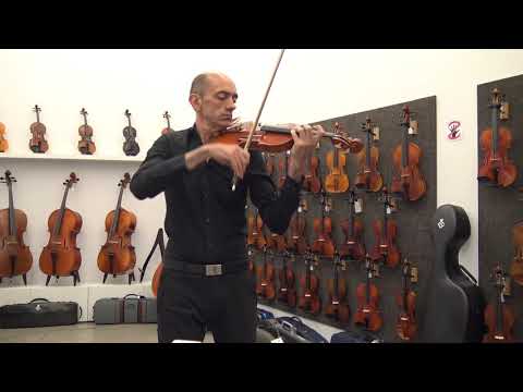 Violin Daniele Scolari modelo Stradivari