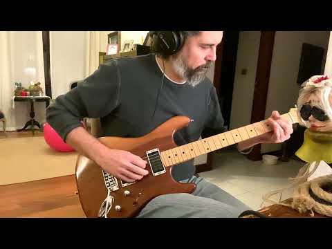 Ozkan Aksit - Joe Satriani Love thing video